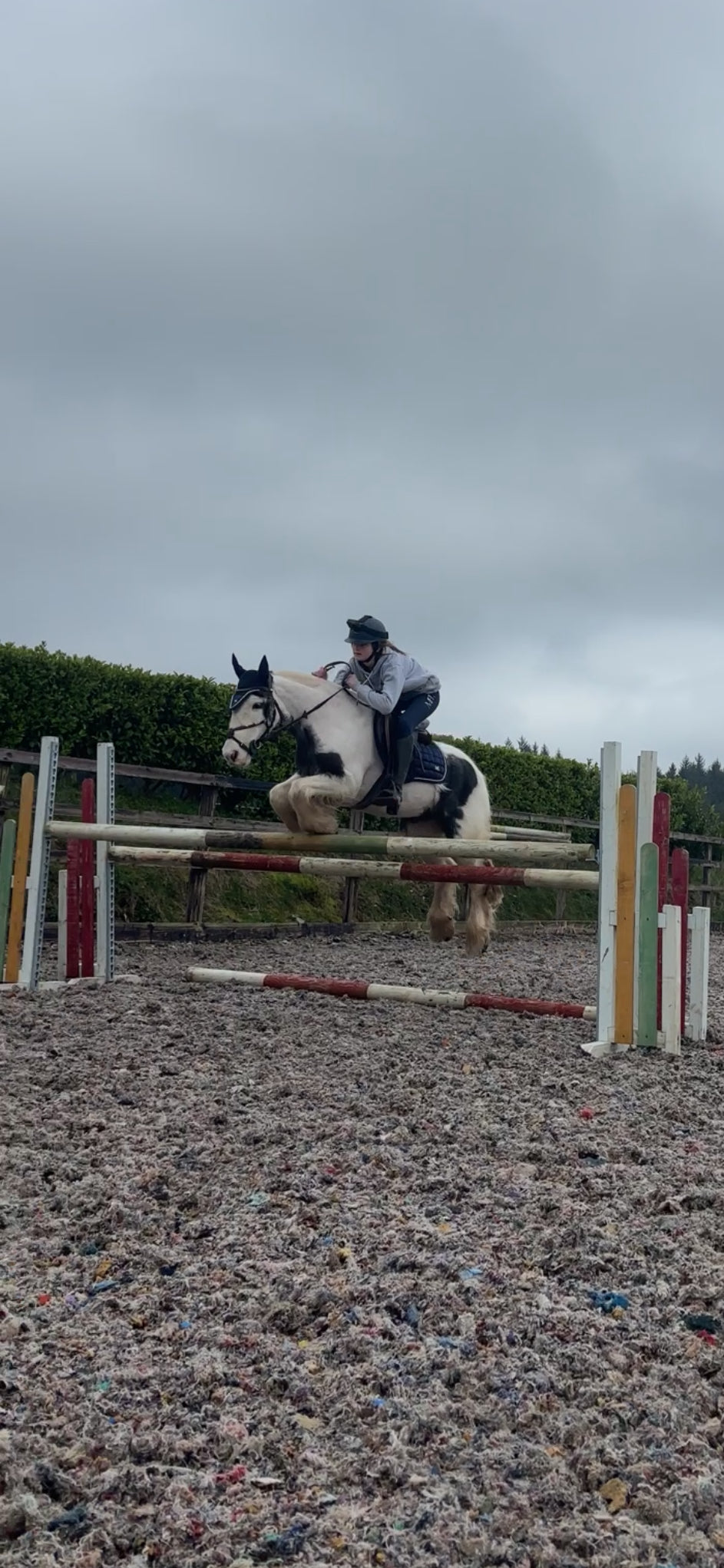 MPL’s Satin Luxe OXFORD Saddle pads