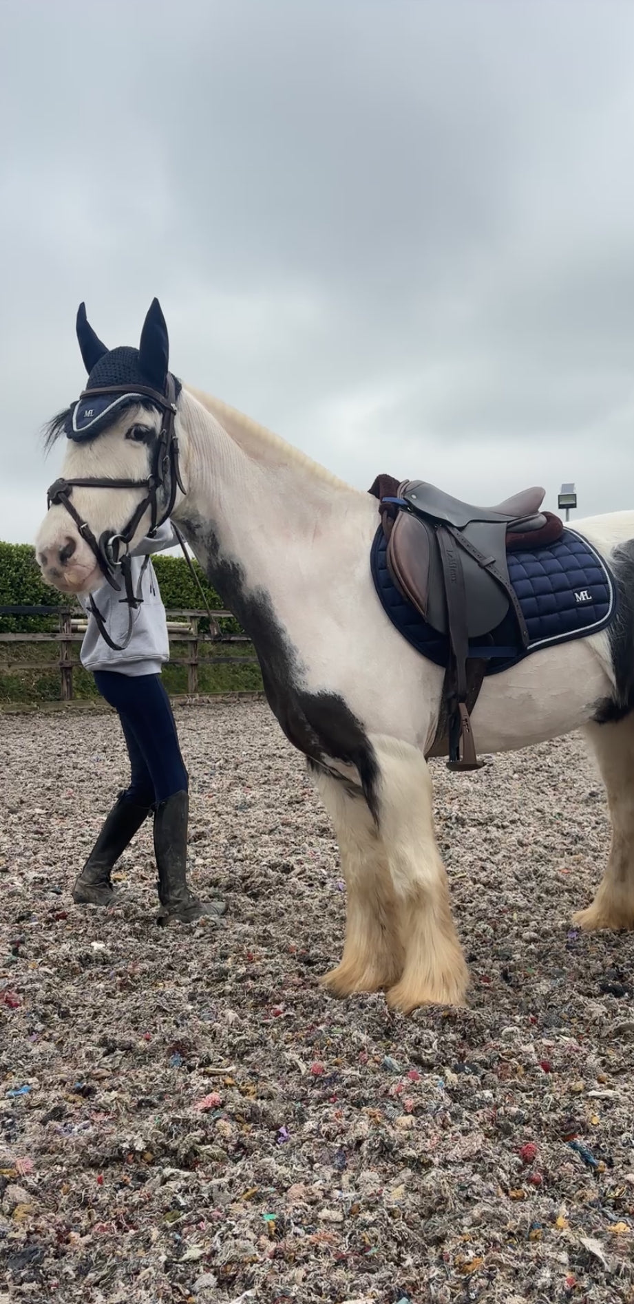 MPL’s Satin Luxe OXFORD Saddle pads