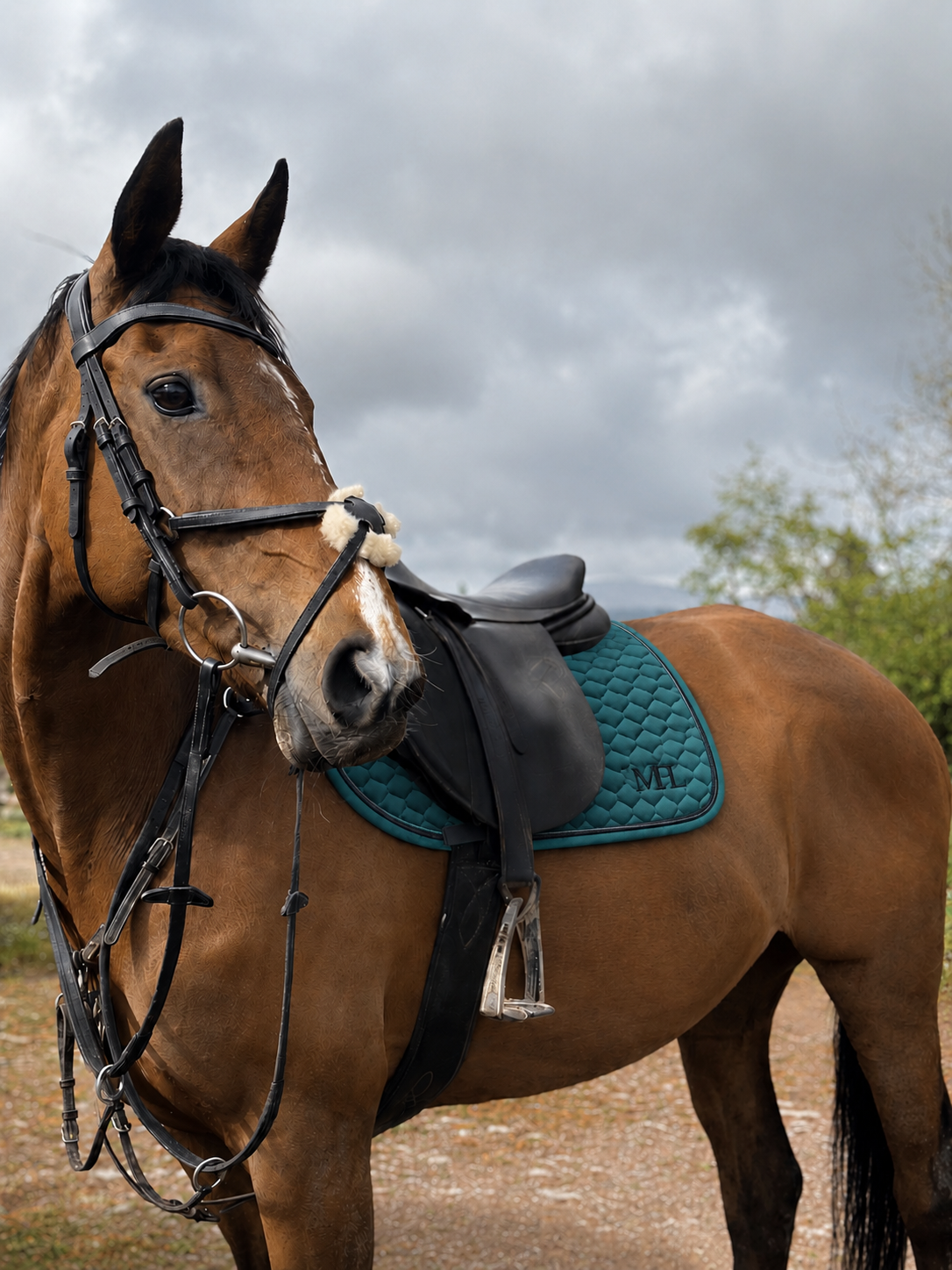 PRE-SALE MPL Velvet Luxe Ivy Saddle pad