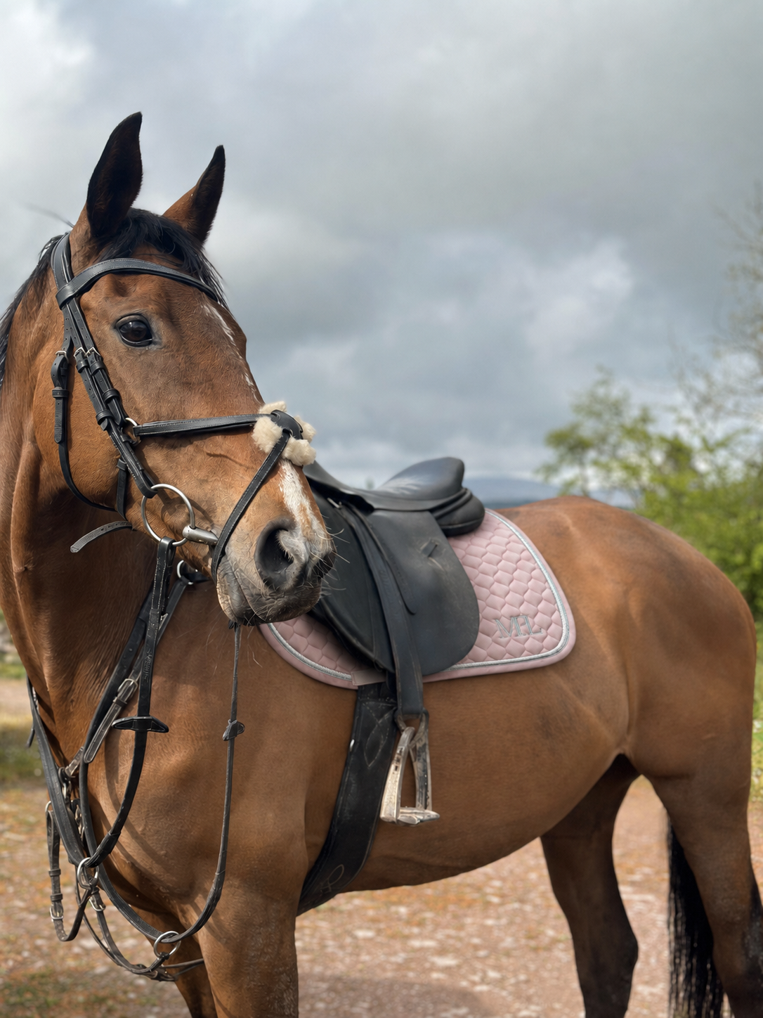 PRE-SALE MPL Velvet Luxe Lily Saddle pad