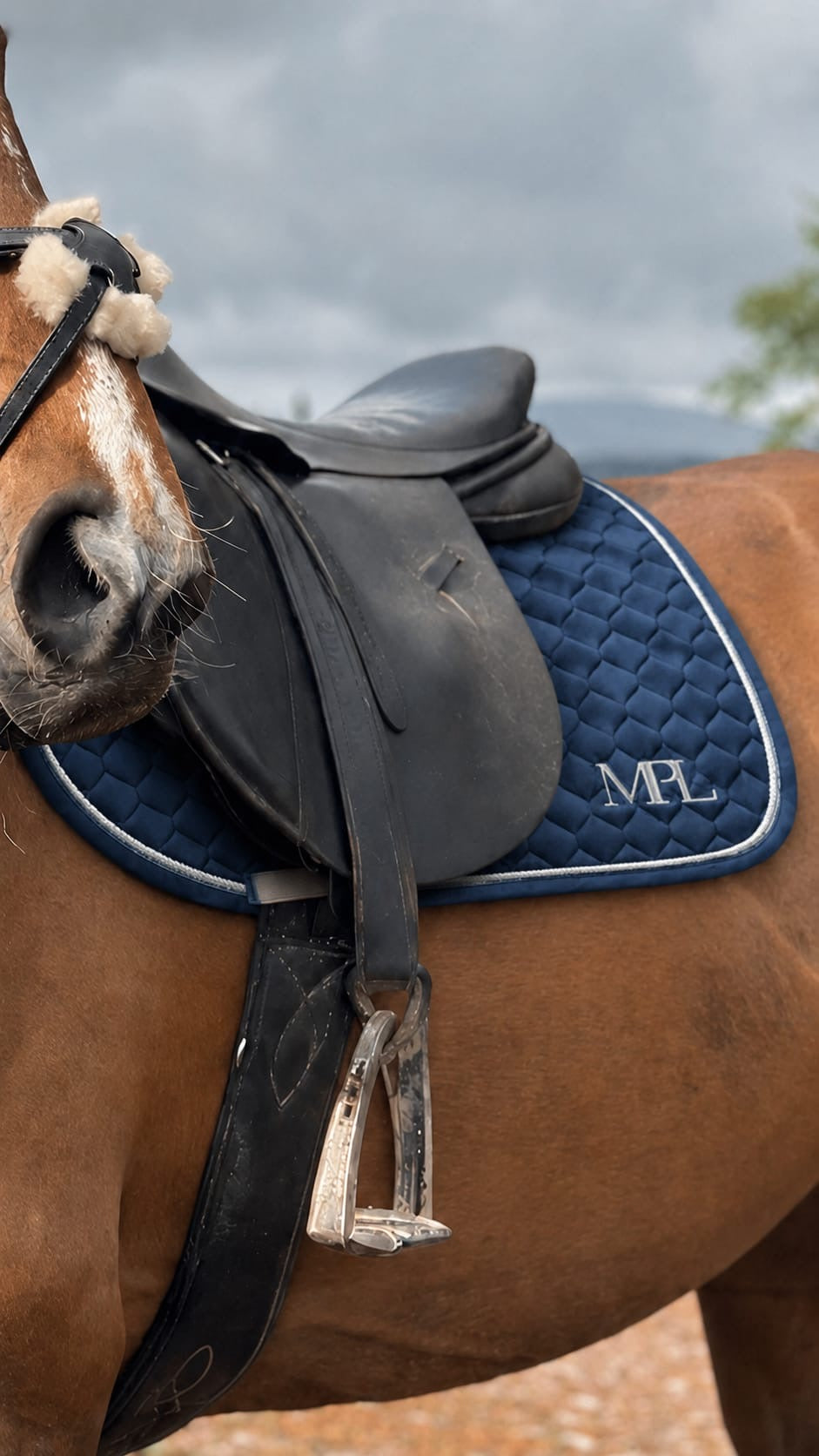 MPL Velvet Luxe Navy Saddle pad